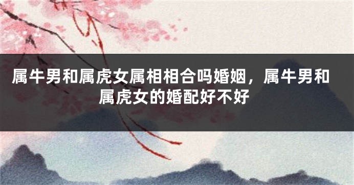 属牛男和属虎女属相相合吗婚姻，属牛男和属虎女的婚配好不好