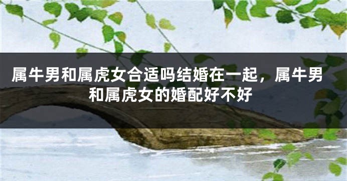 属牛男和属虎女合适吗结婚在一起，属牛男和属虎女的婚配好不好