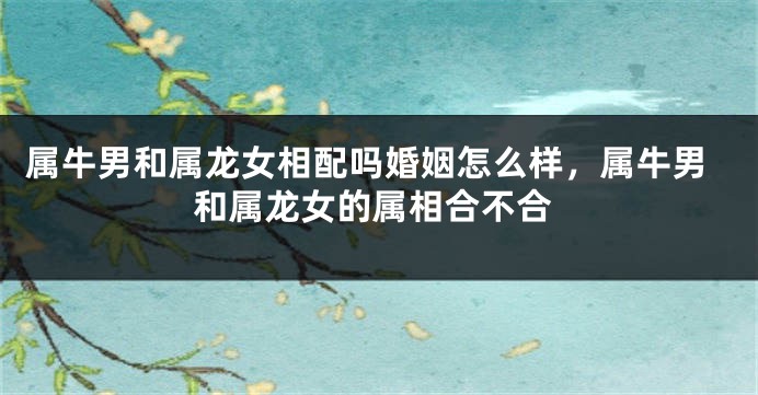 属牛男和属龙女相配吗婚姻怎么样，属牛男和属龙女的属相合不合