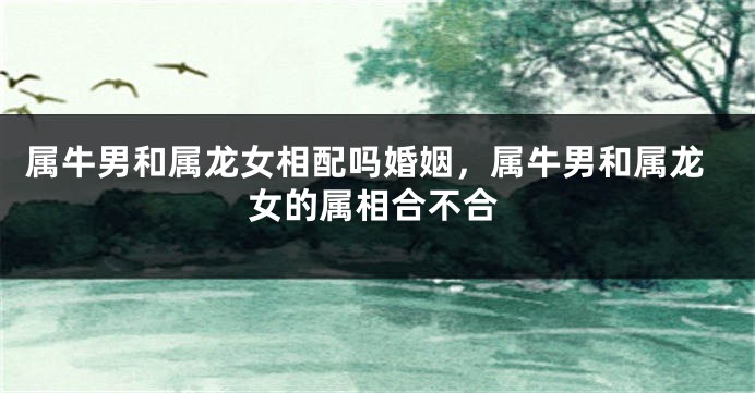 属牛男和属龙女相配吗婚姻，属牛男和属龙女的属相合不合