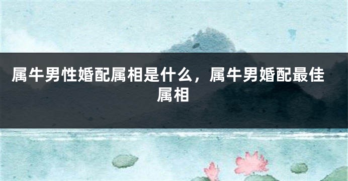 属牛男性婚配属相是什么，属牛男婚配最佳属相