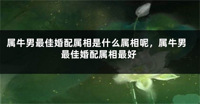 属牛男最佳婚配属相是什么属相呢，属牛男最佳婚配属相最好