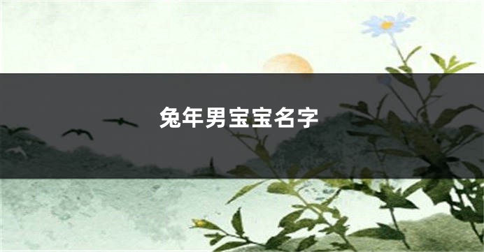 兔年男宝宝名字