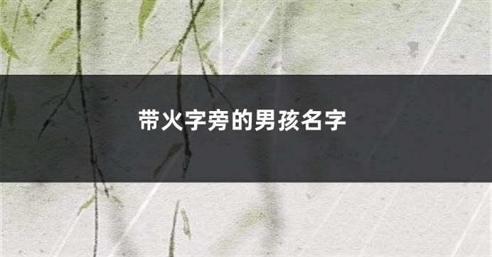 带火字旁的男孩名字