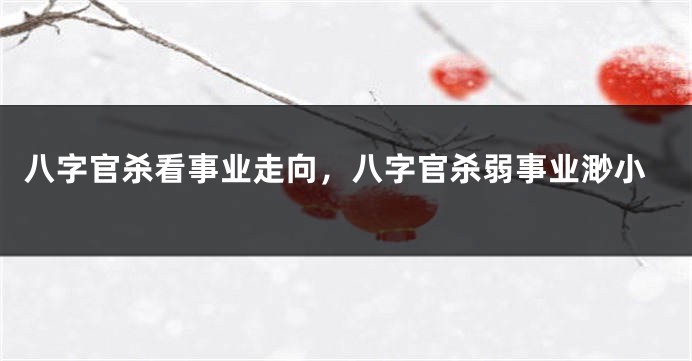 八字官杀看事业走向，八字官杀弱事业渺小