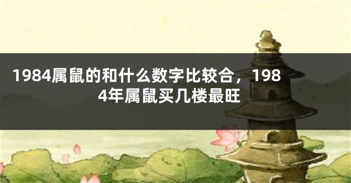 1984属鼠的和什么数字比较合，1984年属鼠买几楼最旺