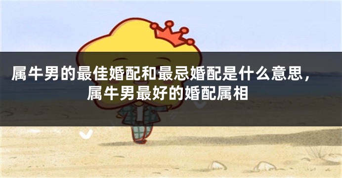 属牛男的最佳婚配和最忌婚配是什么意思，属牛男最好的婚配属相