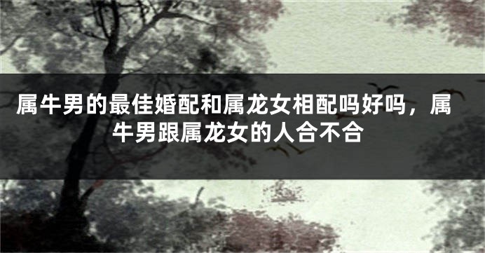 属牛男的最佳婚配和属龙女相配吗好吗，属牛男跟属龙女的人合不合