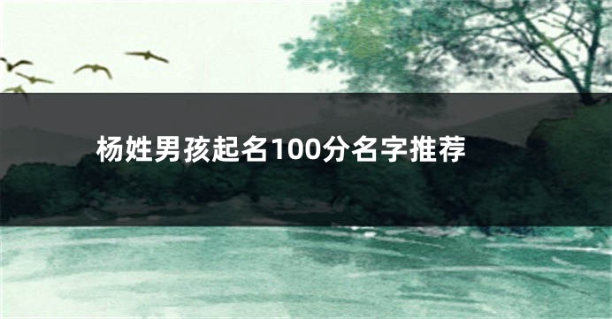 杨姓男孩起名100分名字推荐