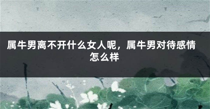 属牛男离不开什么女人呢，属牛男对待感情怎么样