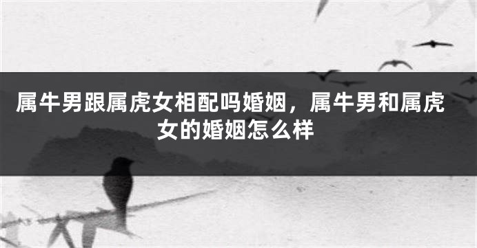 属牛男跟属虎女相配吗婚姻，属牛男和属虎女的婚姻怎么样