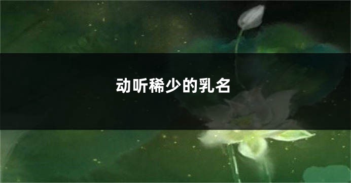 动听稀少的乳名