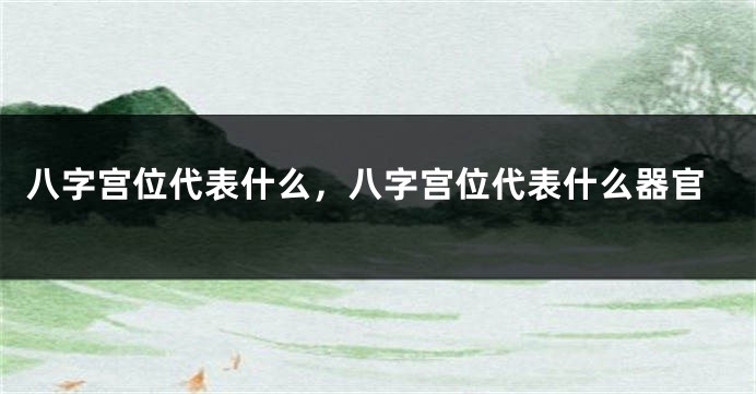 八字宫位代表什么，八字宫位代表什么器官