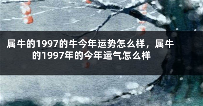 属牛的1997的牛今年运势怎么样，属牛的1997年的今年运气怎么样