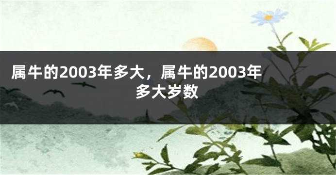 属牛的2003年多大，属牛的2003年多大岁数
