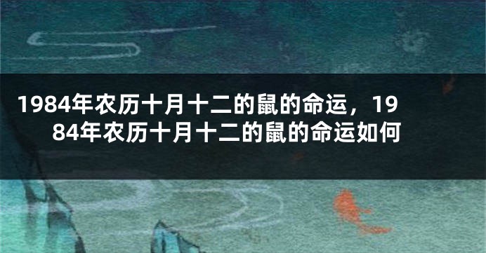 1984年农历十月十二的鼠的命运，1984年农历十月十二的鼠的命运如何