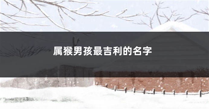 属猴男孩最吉利的名字