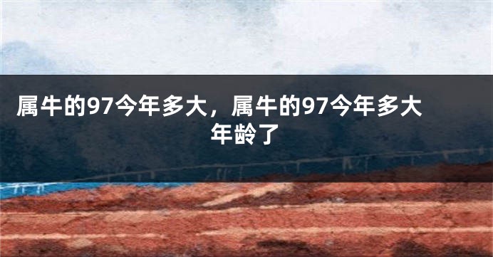 属牛的97今年多大，属牛的97今年多大年龄了