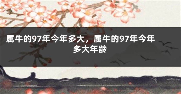属牛的97年今年多大，属牛的97年今年多大年龄