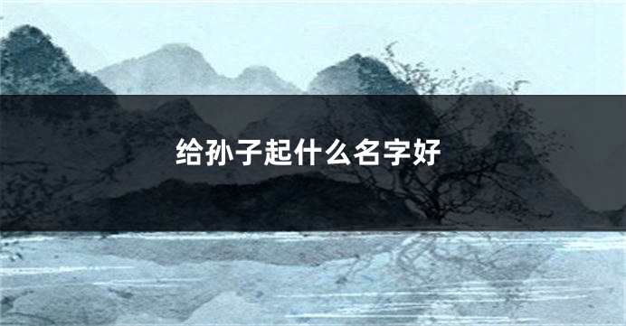 给孙子起什么名字好