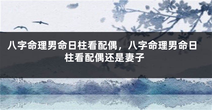 八字命理男命日柱看配偶，八字命理男命日柱看配偶还是妻子