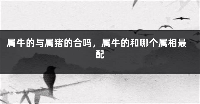 属牛的与属猪的合吗，属牛的和哪个属相最配