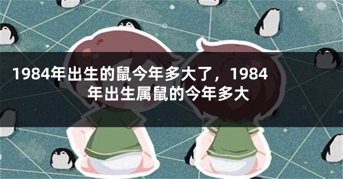 1984年出生的鼠今年多大了，1984年出生属鼠的今年多大
