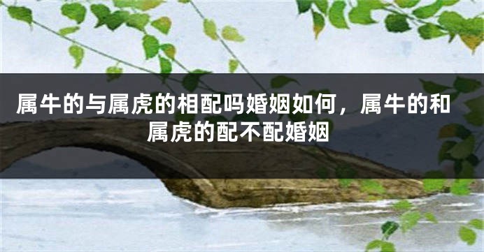 属牛的与属虎的相配吗婚姻如何，属牛的和属虎的配不配婚姻