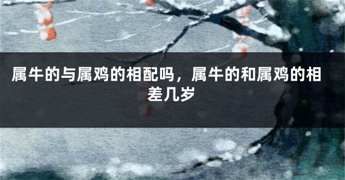 属牛的与属鸡的相配吗，属牛的和属鸡的相差几岁