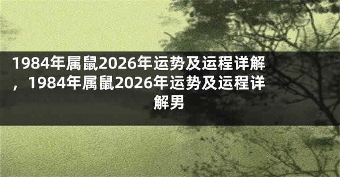 1984年属鼠2026年运势及运程详解，1984年属鼠2026年运势及运程详解男