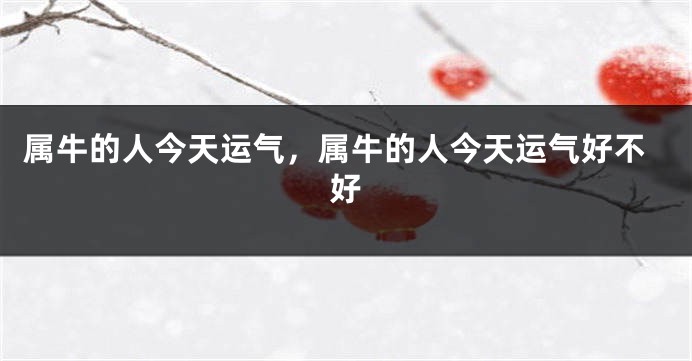 属牛的人今天运气，属牛的人今天运气好不好