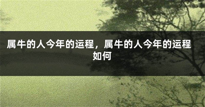 属牛的人今年的运程，属牛的人今年的运程如何