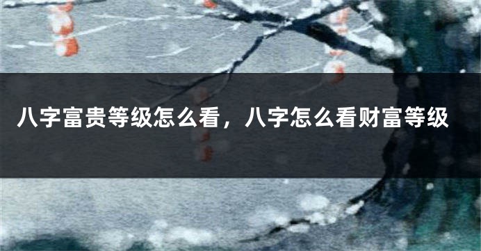 八字富贵等级怎么看，八字怎么看财富等级