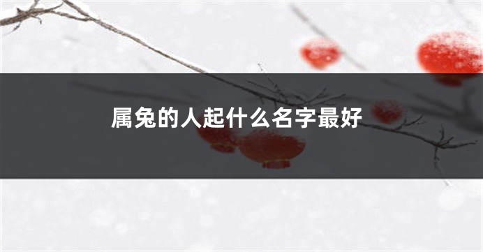属兔的人起什么名字最好