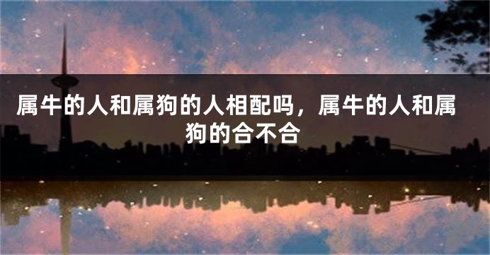 属牛的人和属狗的人相配吗，属牛的人和属狗的合不合