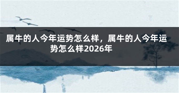 属牛的人今年运势怎么样，属牛的人今年运势怎么样2026年
