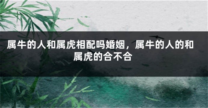 属牛的人和属虎相配吗婚姻，属牛的人的和属虎的合不合