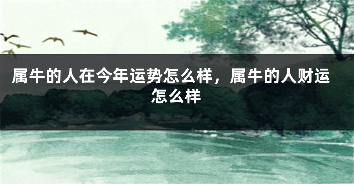 属牛的人在今年运势怎么样，属牛的人财运怎么样