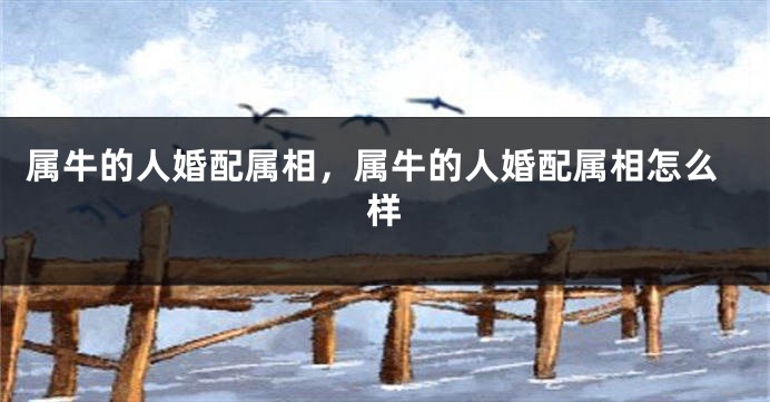 属牛的人婚配属相，属牛的人婚配属相怎么样