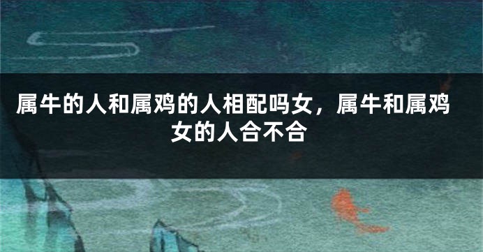 属牛的人和属鸡的人相配吗女，属牛和属鸡女的人合不合