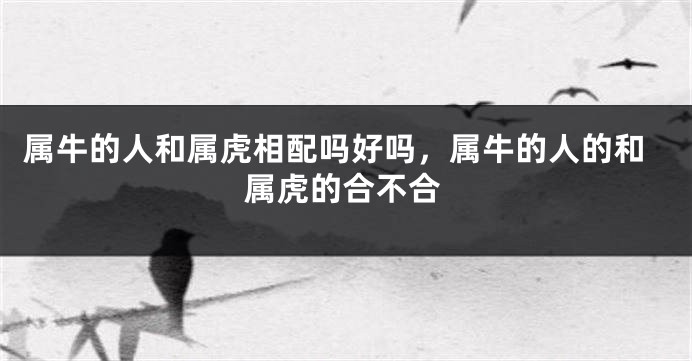属牛的人和属虎相配吗好吗，属牛的人的和属虎的合不合
