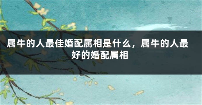 属牛的人最佳婚配属相是什么，属牛的人最好的婚配属相