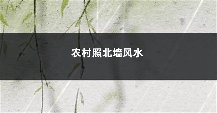农村照北墙风水