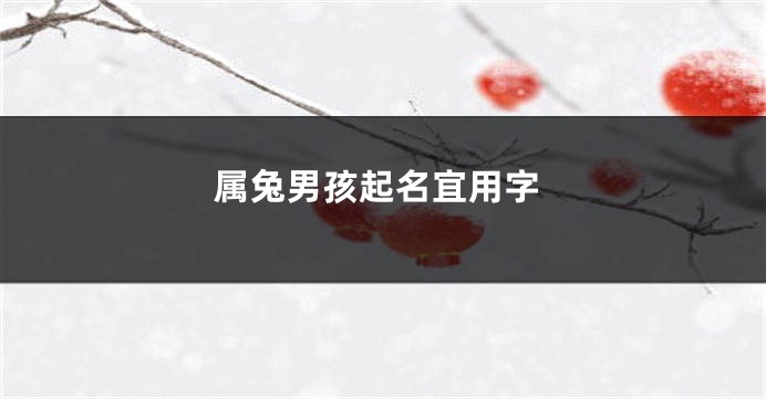 属兔男孩起名宜用字