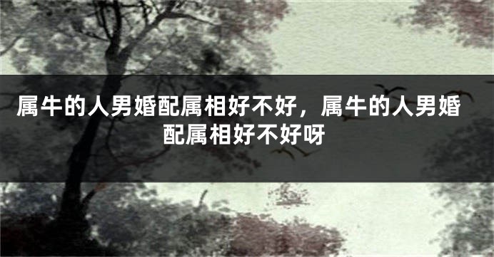 属牛的人男婚配属相好不好，属牛的人男婚配属相好不好呀