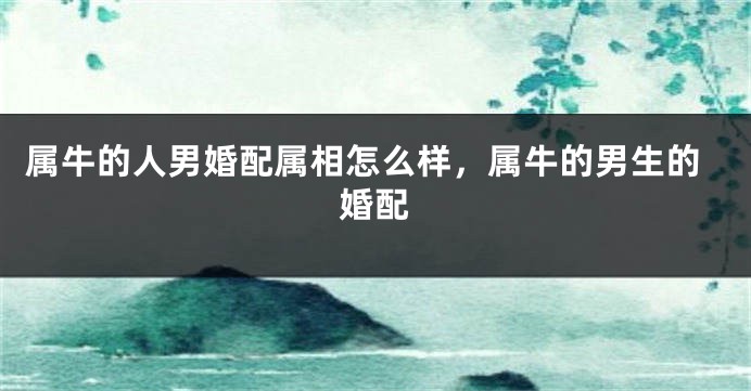 属牛的人男婚配属相怎么样，属牛的男生的婚配