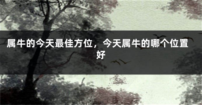 属牛的今天最佳方位，今天属牛的哪个位置好