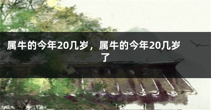 属牛的今年20几岁，属牛的今年20几岁了