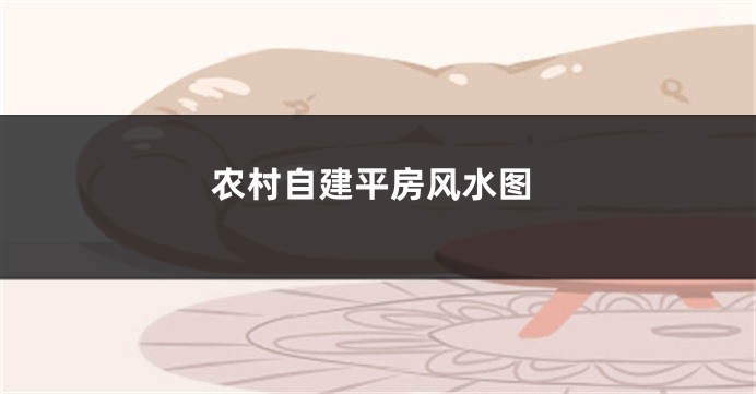 农村自建平房风水图