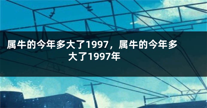 属牛的今年多大了1997，属牛的今年多大了1997年